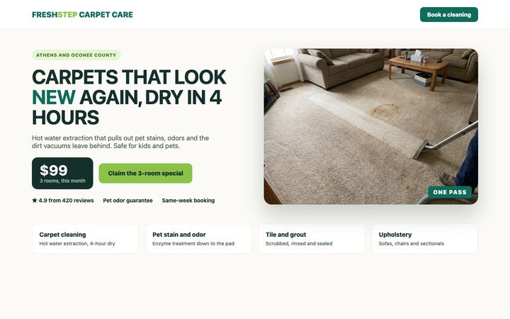 Carpet cleaning sample landing page by Draft First Sites